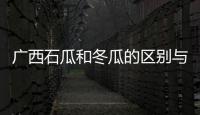 廣西石瓜和冬瓜的區別與廣西石瓜的原因