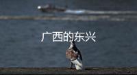 廣西的東興