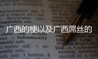 廣西的梗以及廣西屌絲的情況分析
