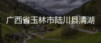 廣西省玉林市陸川縣清湖鎮:廣西省玉林市陸川縣