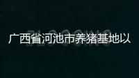 廣西省河池市養豬基地以及河池喂豬的情況分析