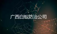 廣西白蟻防治公司