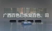 廣西百色已恢復百色、田陽等5個車站的列車售票和旅客上下車業務