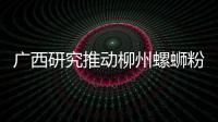 廣西研究推動柳州螺螄粉全產業鏈標準化建設