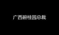 廣西碧桂園總裁