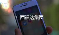 廣西福達集團