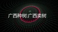 廣西種樹:廣西賣樹