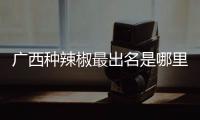 廣西種辣椒最出名是哪里包括河池種辣椒的詳細(xì)情況