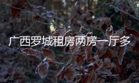 廣西羅城租房兩房一廳多少錢