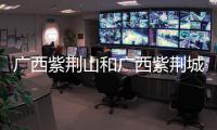 廣西紫荊山和廣西紫荊城全景的詳細介紹