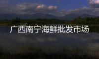 廣西南寧海鮮批發(fā)市場