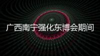 廣西南寧強化東博會期間廣告監管