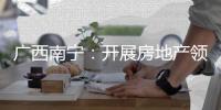 廣西南寧：開展房地產領域廣告專項整治