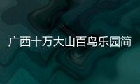 廣西十萬大山百鳥樂園簡介和廣西百萬群山的詳細(xì)介紹