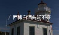 廣西博白酒曲好不好