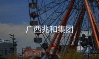 廣西兆和集團