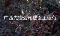 廣西先鋒公司建設工程有限公司:廣西河池市先鋒電池