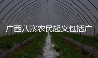 廣西八寨農民起義包括廣西八寨之亂的詳細情況