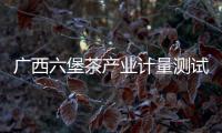 廣西六堡茶產(chǎn)業(yè)計(jì)量測(cè)試中心通過(guò)籌建評(píng)審