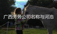 廣西勞務公司名稱與河池市注冊勞務公司去哪里的原因