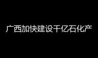 廣西加快建設千億石化產業園 打造西南能源基地