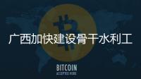 廣西加快建設骨干水利工程