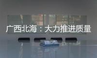 廣西北海：大力推進質(zhì)量品牌建設