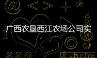 廣西農墾西江農場公司實現一季度“開門紅”