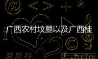 廣西農村墳墓以及廣西桂平農村墓地的情況分析