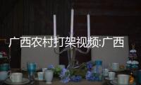 廣西農村打架視頻:廣西大勇拍廣西農村