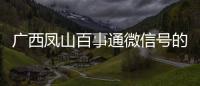 廣西鳳山百事通微信號的簡單介紹