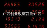 廣西創業致富項目:廣西致富洲