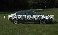 廣西哈密瓜包括河池哈密瓜的詳細情況
