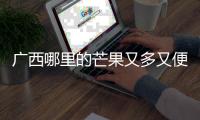 廣西哪里的芒果又多又便宜:廣西芒果最便宜價格