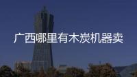 廣西哪里有木炭機器賣