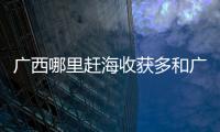 廣西哪里趕海收獲多和廣西趕海腸的詳細介紹