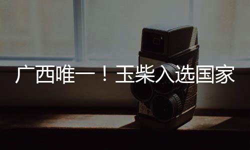 廣西唯一！玉柴入選國家首批“守護品牌”政企協作機制名單