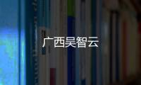 廣西吳智云