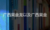 廣西吳金龍以及廣西吳金敏的情況分析