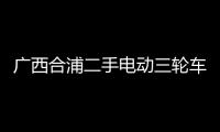 廣西合浦二手電動三輪車
