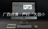 廣西合浦：嚴打“大容小標”特種設備
