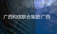 廣西和信聯合集團:廣西和信高盛