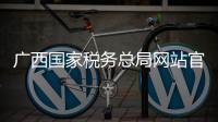 廣西國家稅務總局網站官網與廣西國稅網站的原因