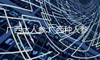 廣西土人參:廣西種人參種
