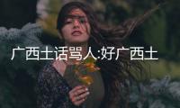 廣西土話罵人:好廣西土話
