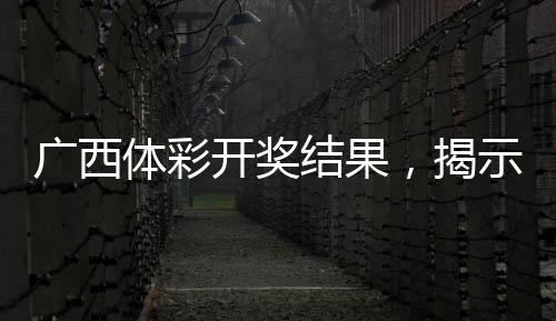廣西體彩開獎結果，揭示幸運與堅持的力量