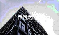 廣西何斌國資委
