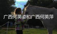 廣西何英姿和廣西何英萍的情況說明