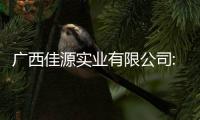 廣西佳源實業有限公司:廣西佳天元廠