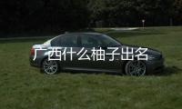 廣西什么柚子出名